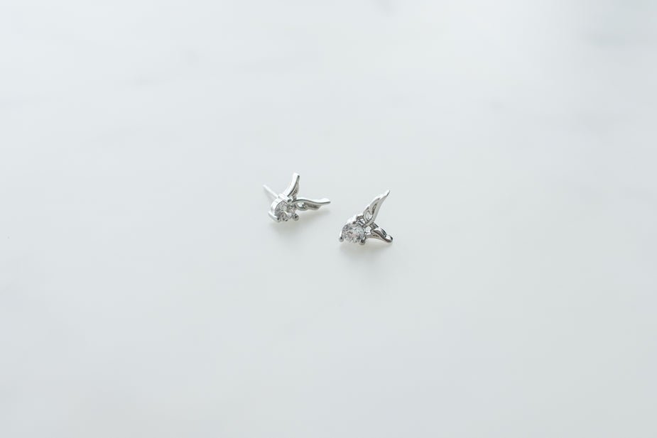 Earings